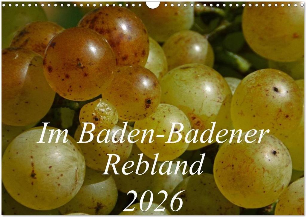 Im Baden-Badener Rebland 2026 (Wandkalender 2026 DIN A3 quer), CALVENDO Monatskalender