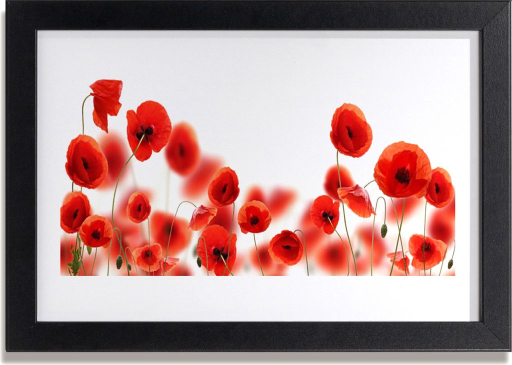 Bild 30x20 MDF-Rahmen Wandkunst Die Pflanze Mohn Natur