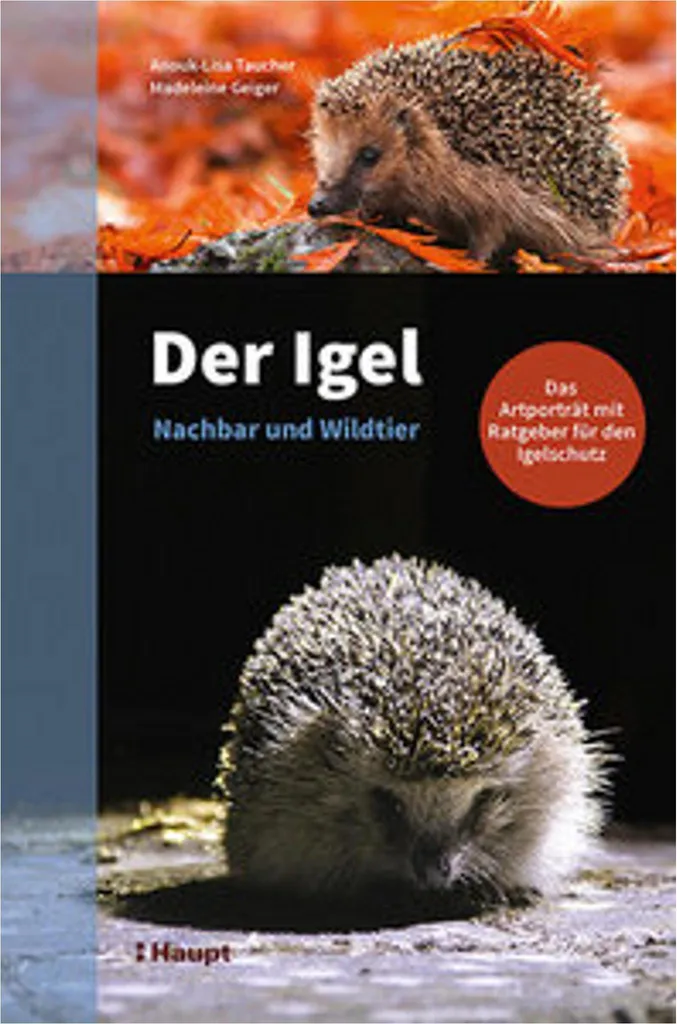 Sauvez les hérissons de votre jardin grâce au guide Der Igel Wildtier
