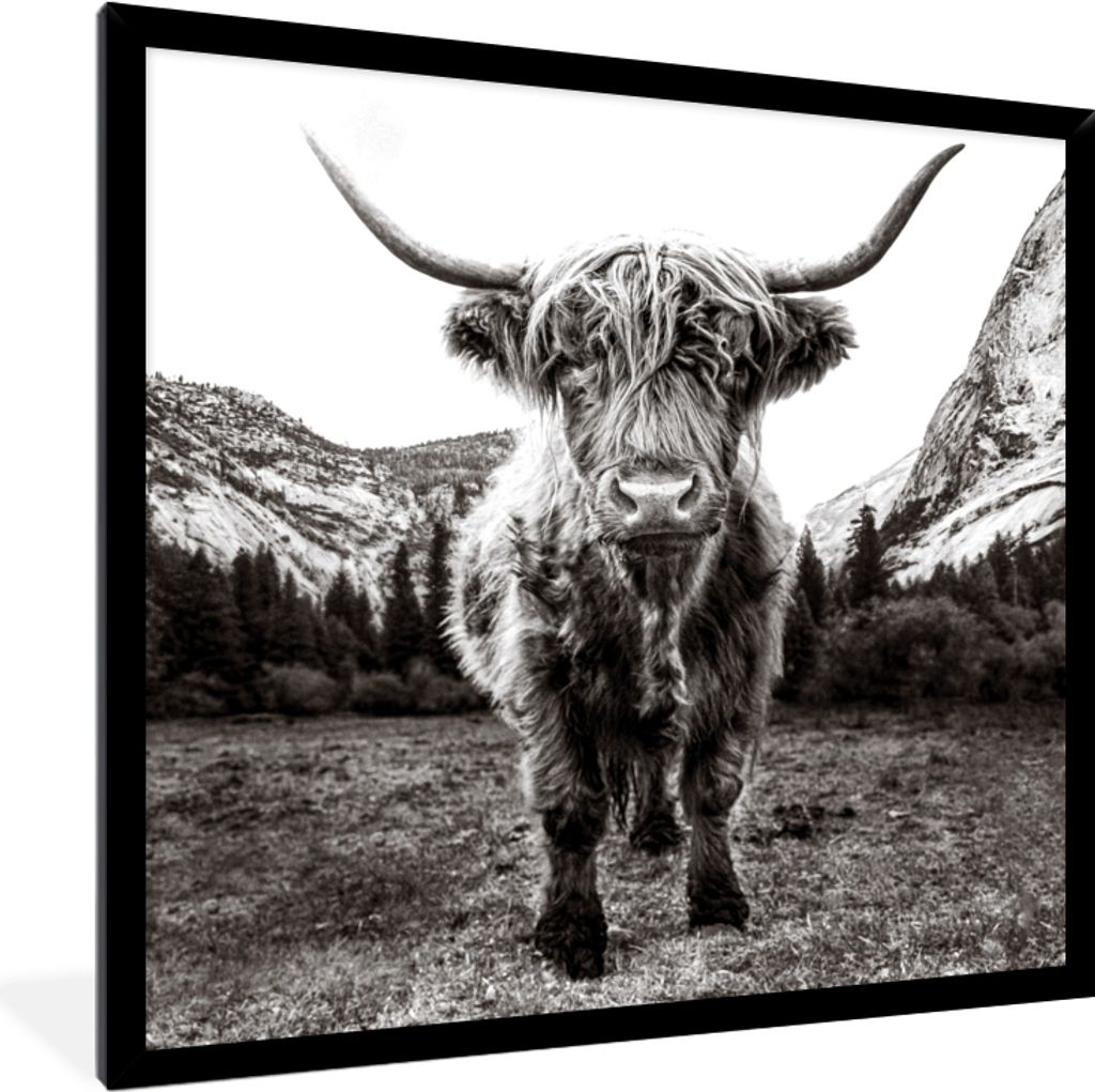 MuchoWow Gerahmtes Poster Berg - Schwarz - Weiß - Schottischer Highlander 40x40 cm - Poster mit Schwarzem Bilderrahmen Wandposter Rahmen Foto Bi...