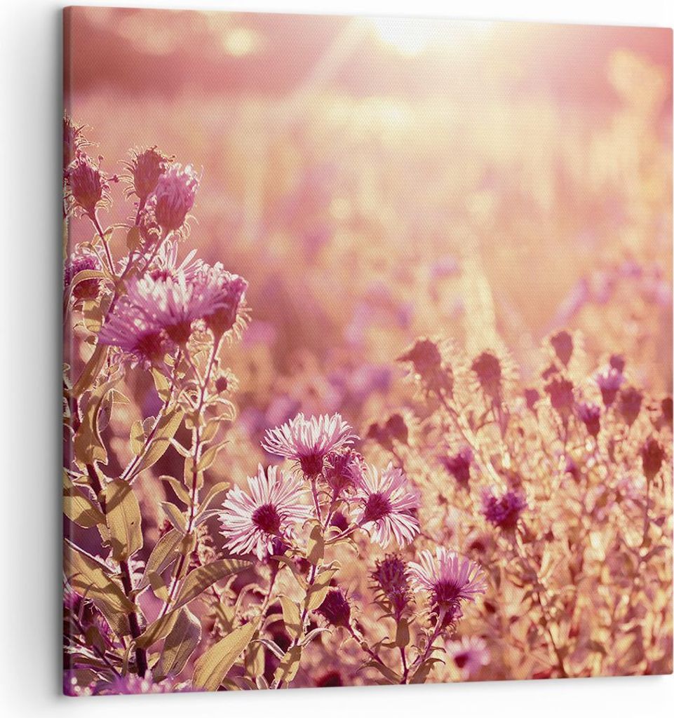 Bild auf Leinwand - Leinwandbild - Einteilig - Wiese Blumen Sonne - 50x50cm - Wand Bild - Wanddeko - Wandbilder - Leinwanddruck - Bilder - Wanddeko...