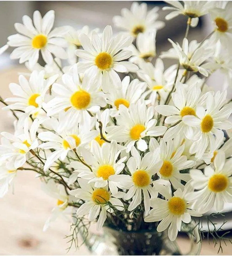Fleur Artificielle Marguerites Madeliefje Blanches pour Vase et Salon