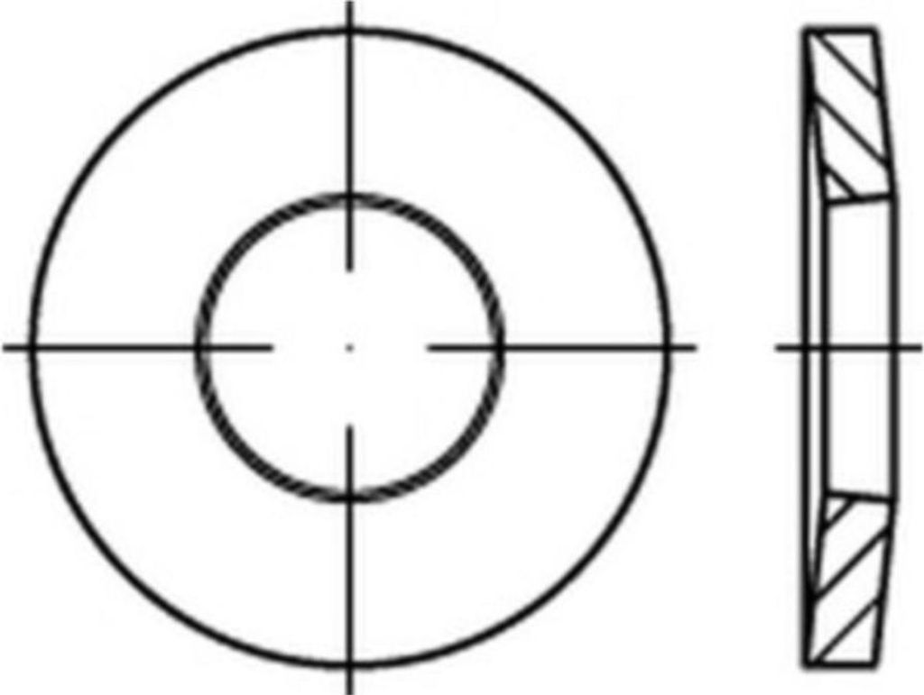Reyher Spannscheiben DIN 6796 FederSt. 30 ph. (50 Stück)