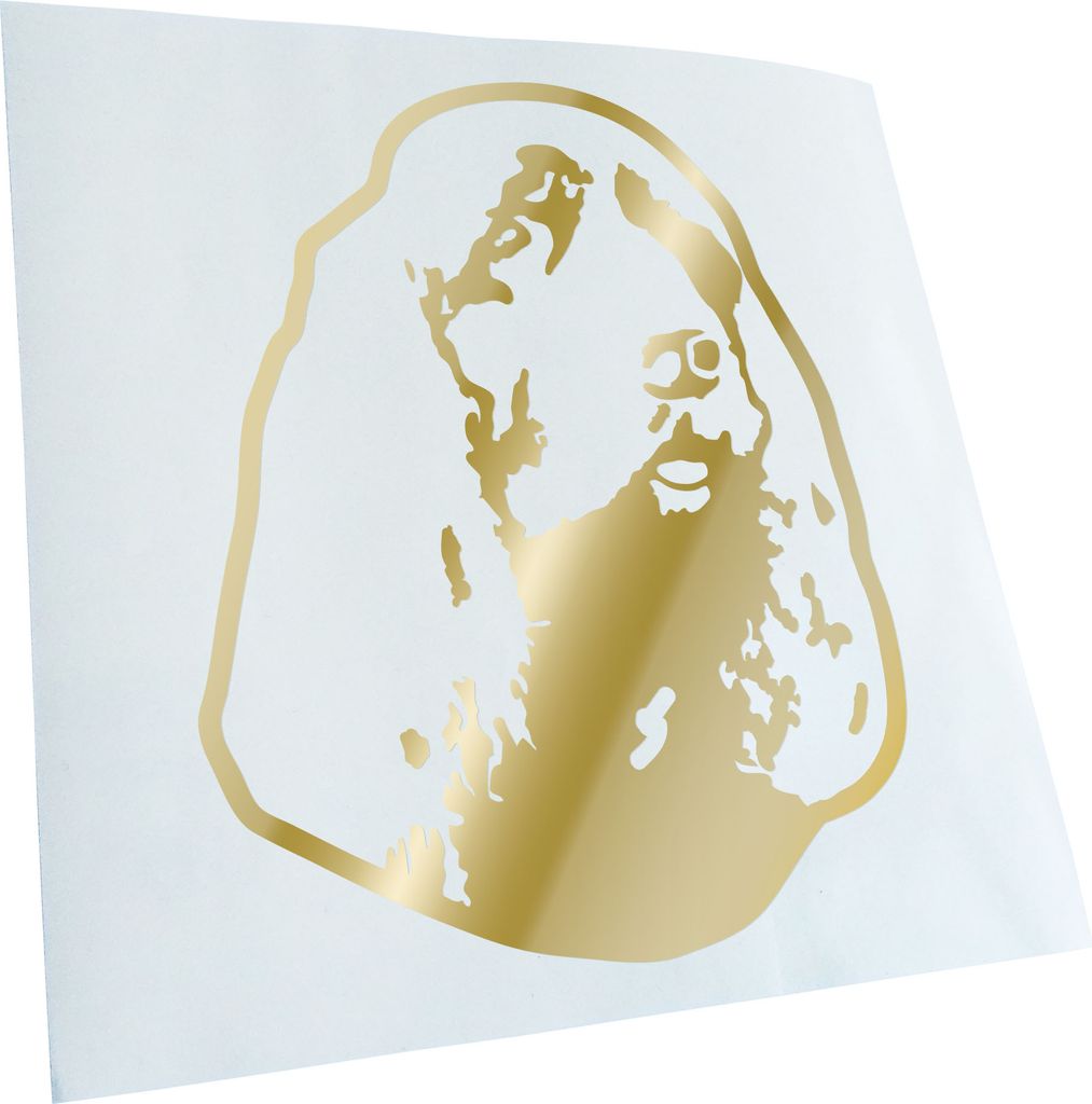 Kiwistar - Autoaufkleber - sussex spaniel Hund - Goldchrom - 60x46cm - Aufkleber für Auto, Laptop, Fahrrad, LKW, Motorrad mehrfarbig JDM Decal Racing