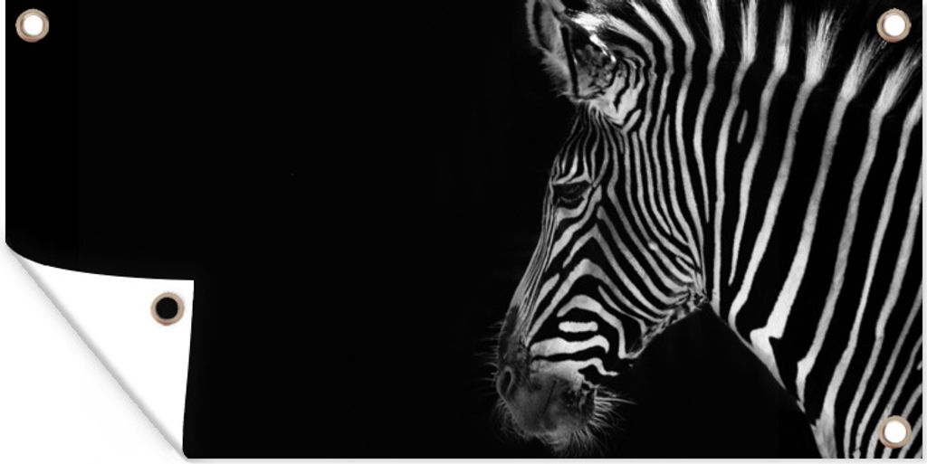 MuchoWow 60x30 cm Outdoor-Poster Gartendeko Sichtschutz Garten Poster für den Garten Zebra - Wilde Tiere - Schwarz