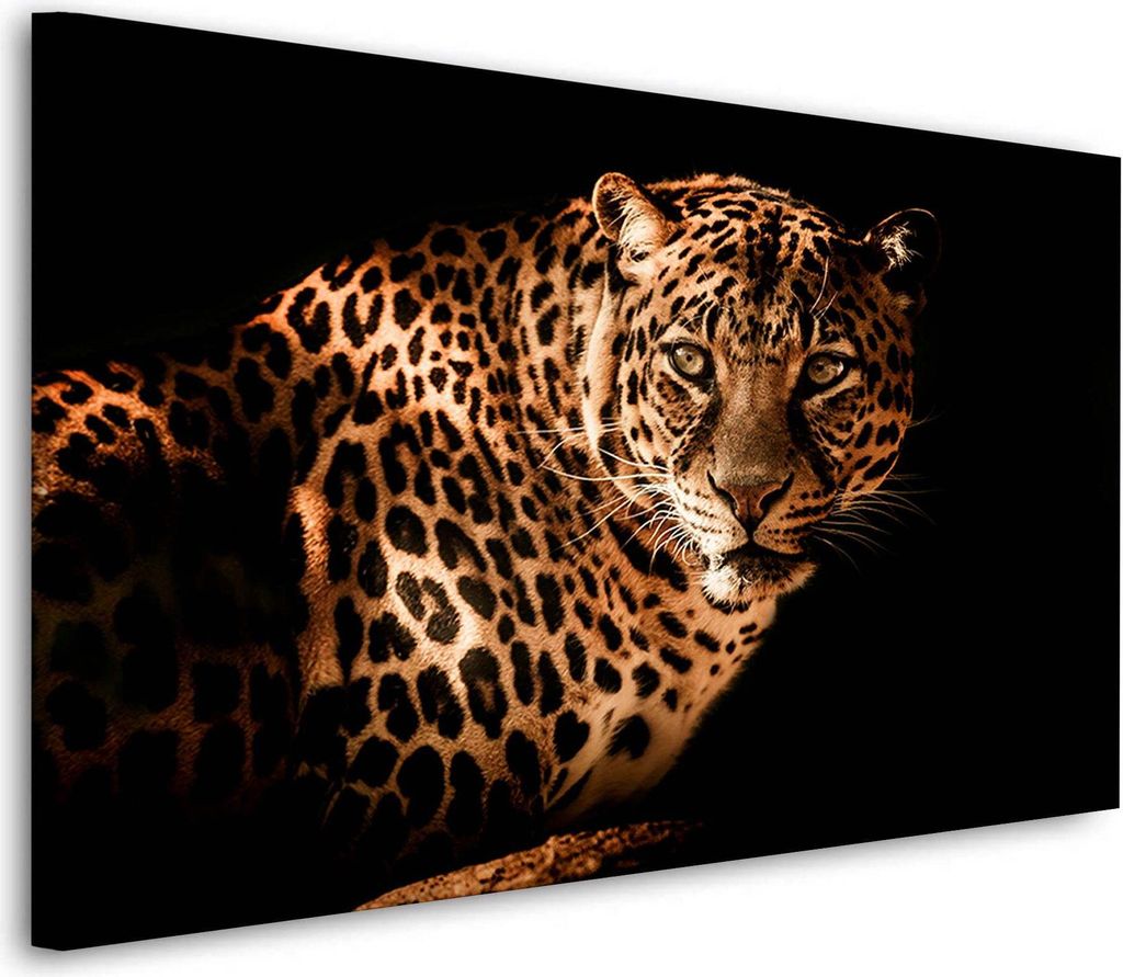 Leopard Black Tiere Wandbild Leinwandbild Kunst XL: 60x40x2cm