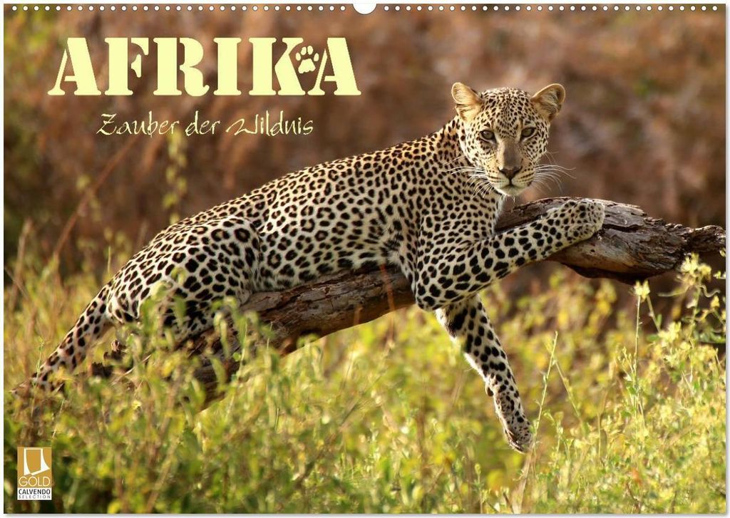 Afrika - Zauber der Wildnis (Wandkalender 2026 DIN A2 quer), CALVENDO Monatskalender