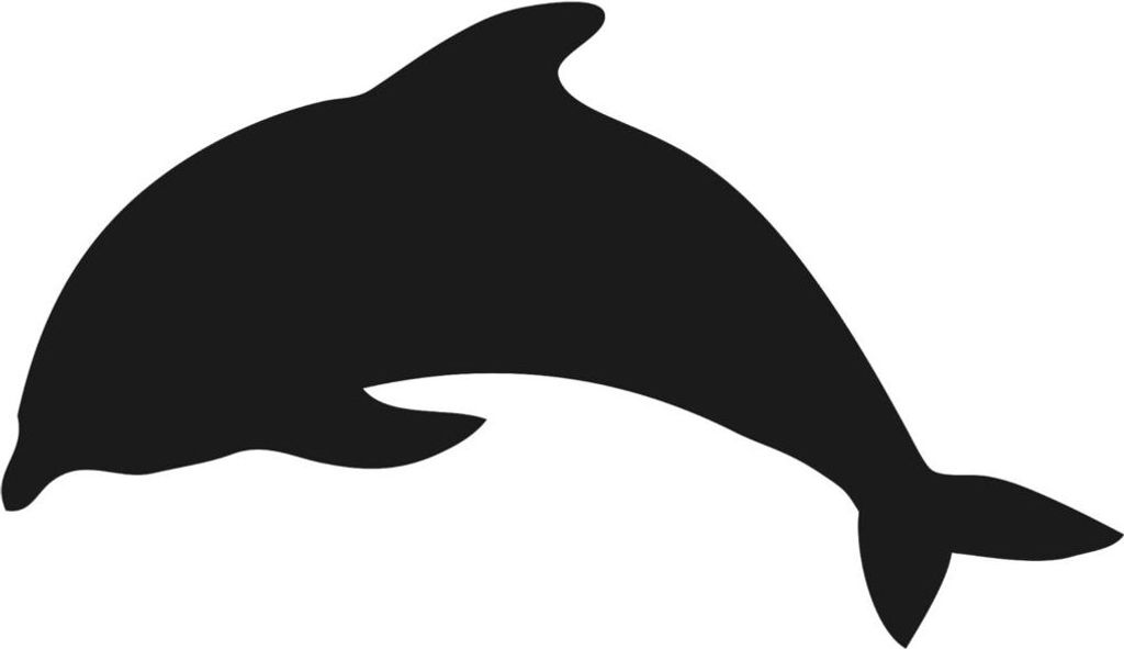 Securit FB-DOLPHIN, 300 x 500 mm, Melamin, Harz, Velcro, Schwarz