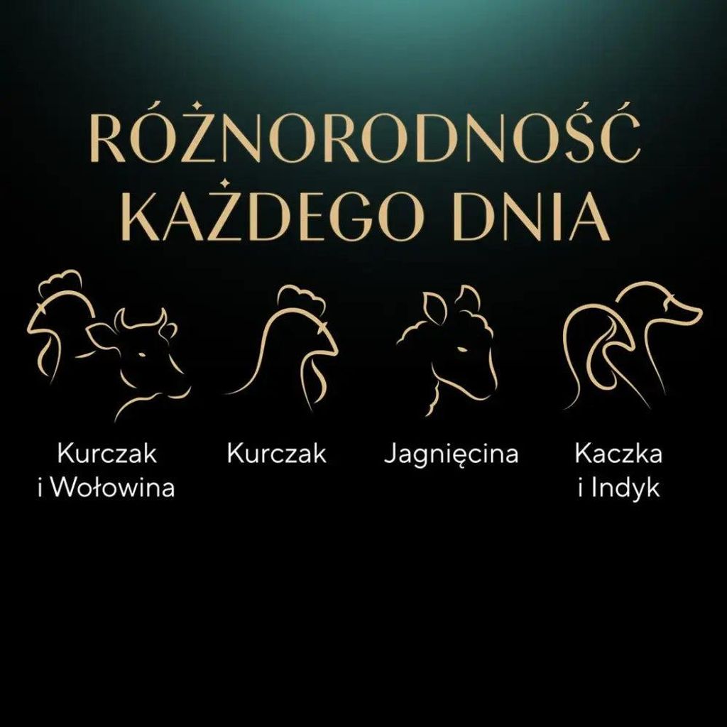 Marketing image showing different types of meat with Polish text.