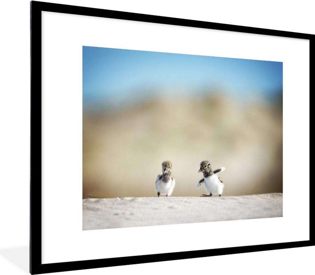 MuchoWow MuchoWow Gerahmtes Poster Junge - Sand - Vögel 80x60 cm - Poster mit zchwarzem Bilderrahmen - Schlafzimmer-Dekorationen - Fotoposter