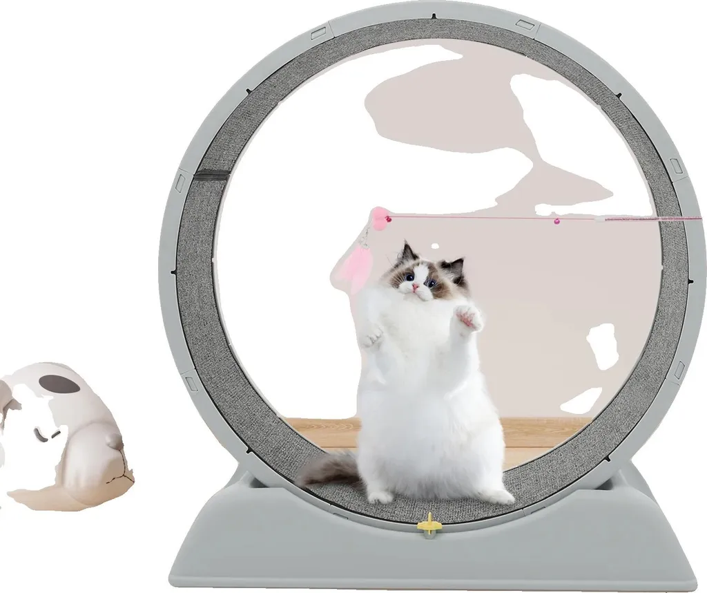 Vélo d'entraînement pour chat 80cm - Roue d'exercice silencieuse
