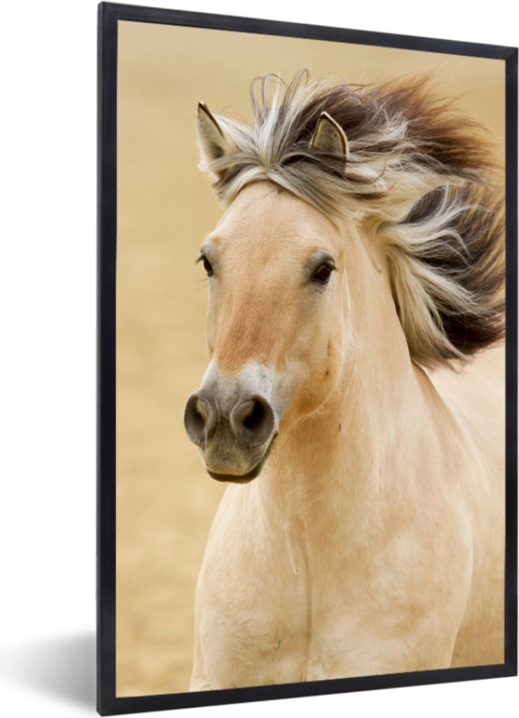 MuchoWow MuchoWow Gerahmtes Poster Pferde - Tiere - Mähne - Porträt 40x60 cm - Poster mit zchwarzem Bilderrahmen - Papierdruck - Wandbilder
