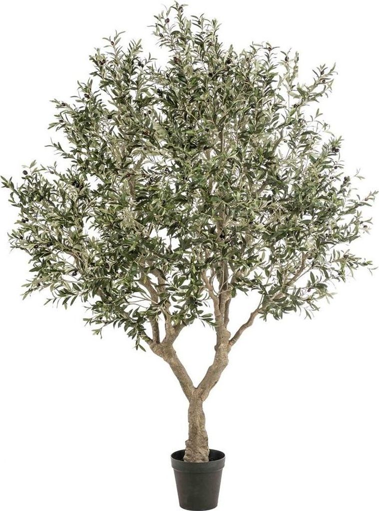 artplants.de Deko Olivenbaum ZALIKI, Dekostamm, Früchte, grün, 250cm - Kunst Olivenbaum