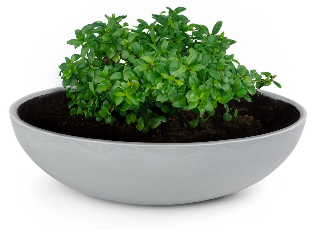 Runde bauchige 30 cm Pflanzschale für draussen, hell-grau Produktbild 