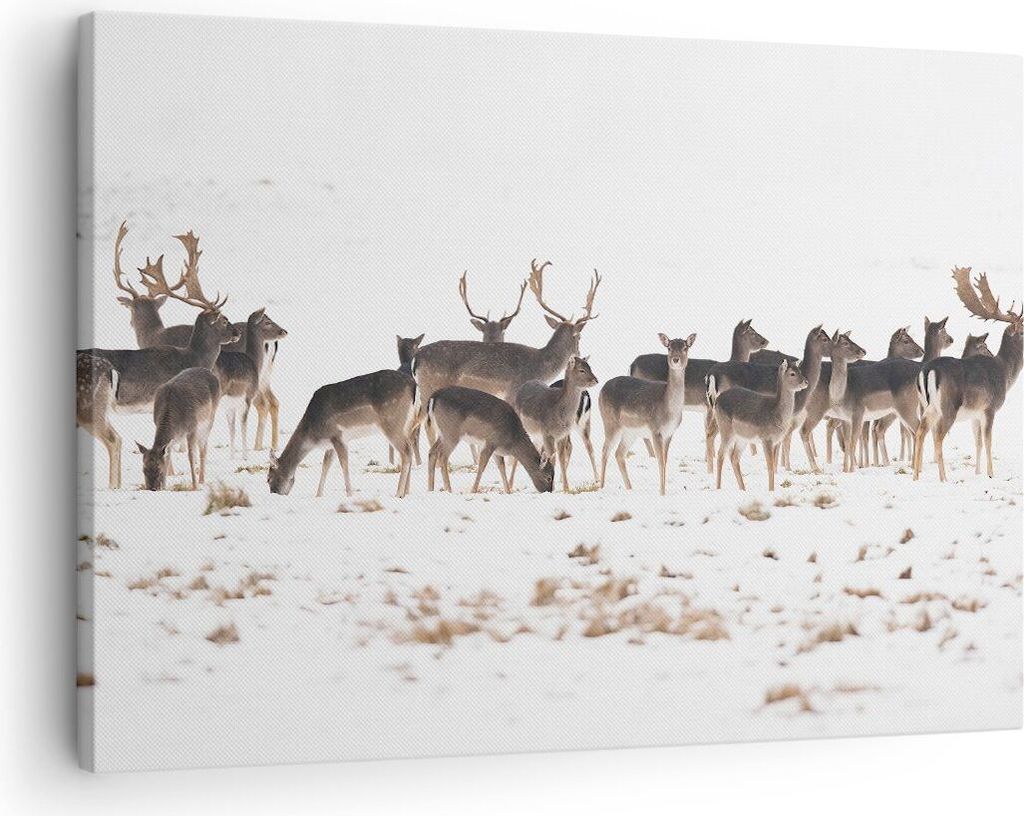Bild auf Leinwand - Leinwandbild - Hirsch Winter Tierwelt Produktbild 