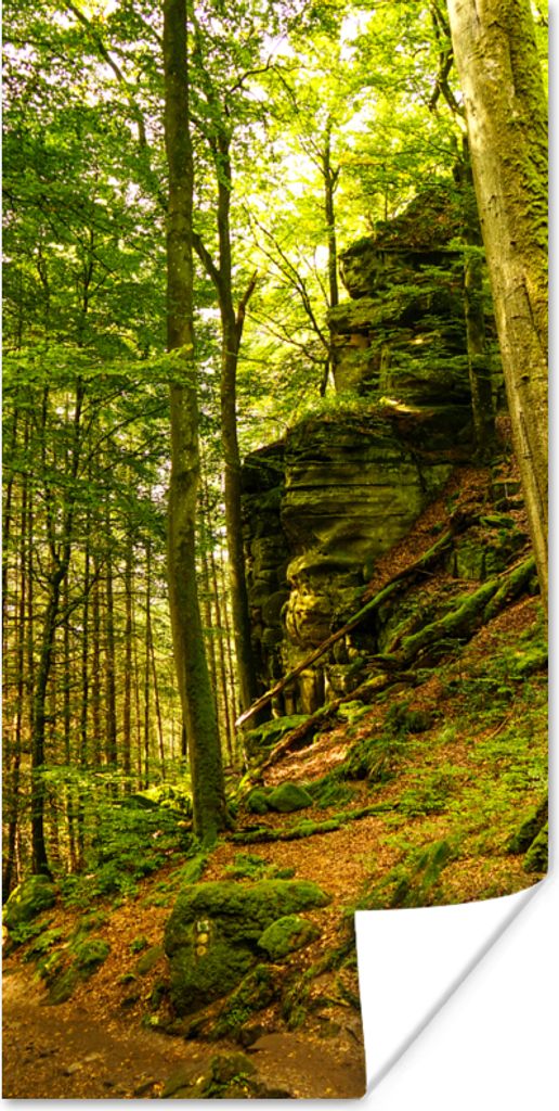 MuchoWow Poster Bäume - Stein - Wald - Natur - Pflanzen 75x150 cm - Dekoration für die Wände