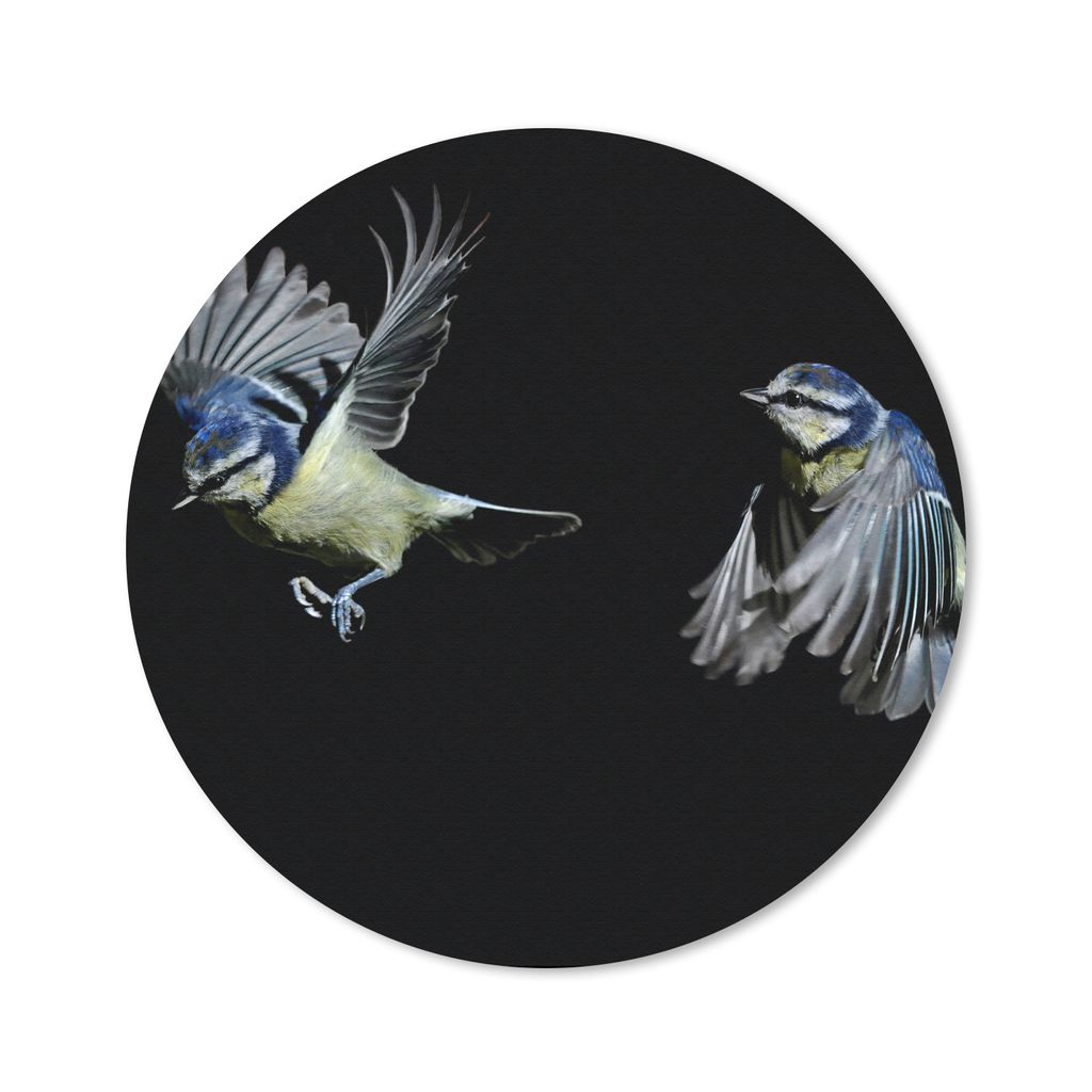 MuchoWow Mauspad Mousepad Vogel - Federn - Porträt 40x40 cm - Mousepads - Maus Mat - Pad - Mausunterlage