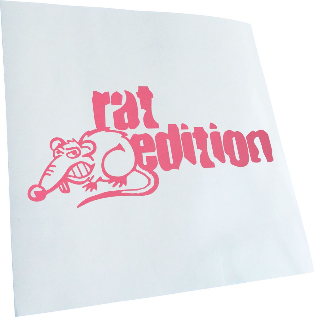 Kiwistar - Autoaufkleber - Rat Edition - Hellrosa - 50x23cm - Aufkleber für Auto, Laptop, Fahrrad, LKW, Motorrad Mehrfarbig JDM Decal Racing