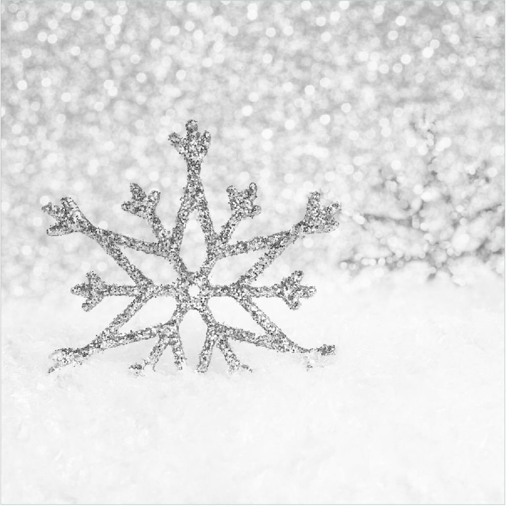 Wallario Premium Glasbild, freischwebende Optik, kräftige Farben, Größe 50 x 50 cm Motiv Silberne Schneeflocken