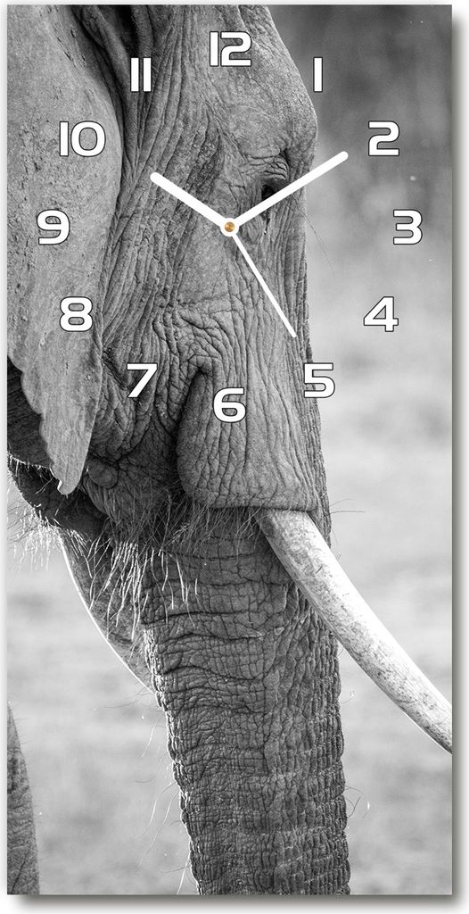 Wanduhr aus Glas – 30x60 cm - Glasbild - Glasuhr - Gehärtetes Glas -Elefant
