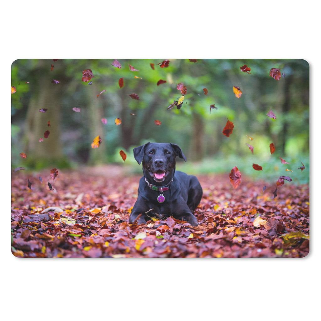 MuchoWow Mauspad Mousepad Schwarzer Labrador Retriever zwischen schönen Herbstblättern liegend 27x18 cm - Mousepads - Maus Mat - Pad - Mausunte...