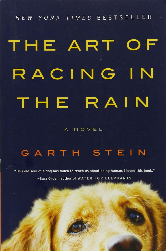 The Art of Racing in the Rain