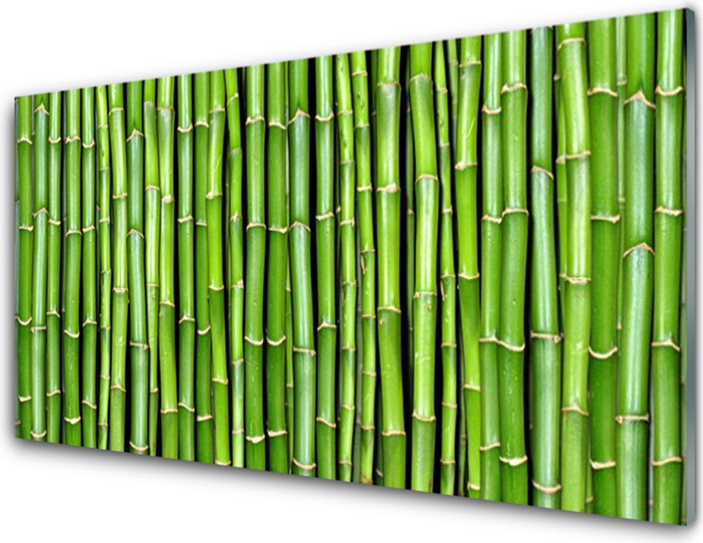 Acrylglasbilder 100x50 Wandbild Druck Bambus Pflanzen