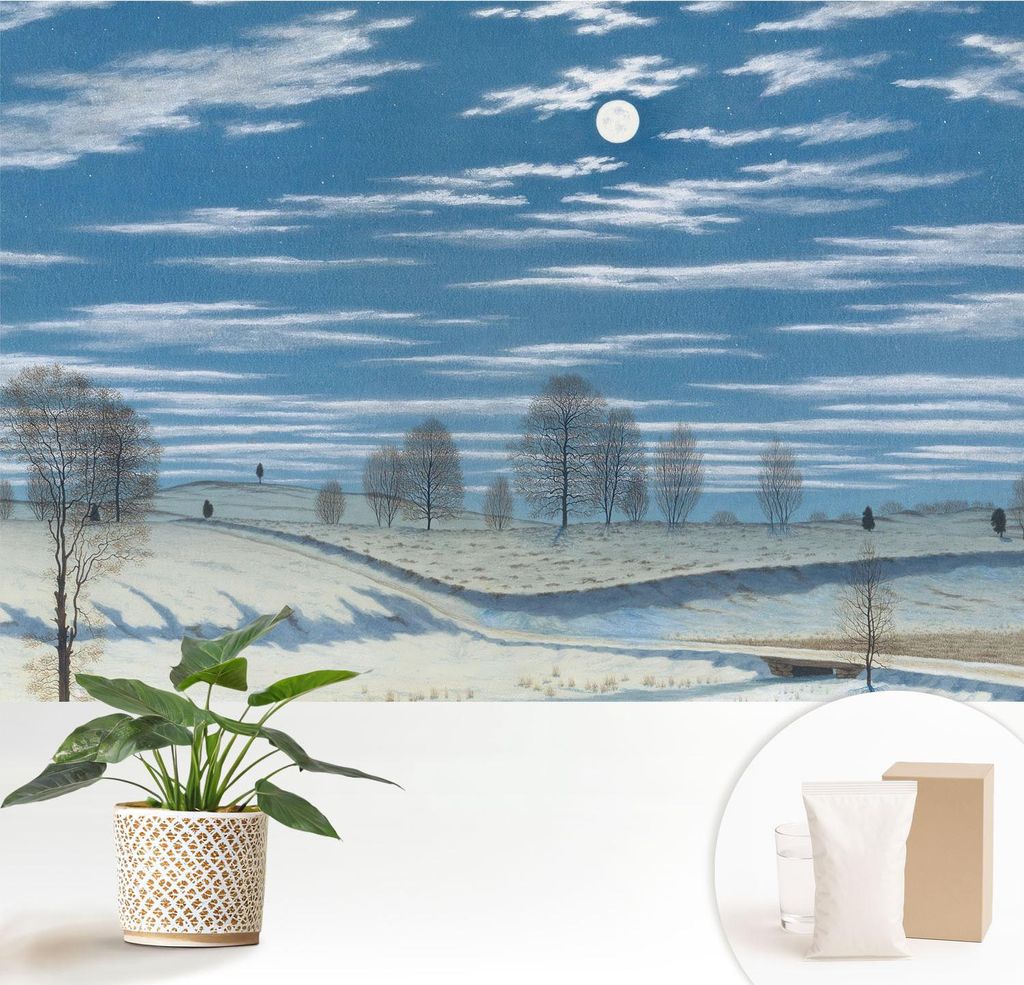 Fototapete - 152x104 cm - Tapete - Wandtapete - Wandbilder - Dekofolie - Tapete Folie - Wand - Dekoration - Wohnzimmer - Winterlandschaft