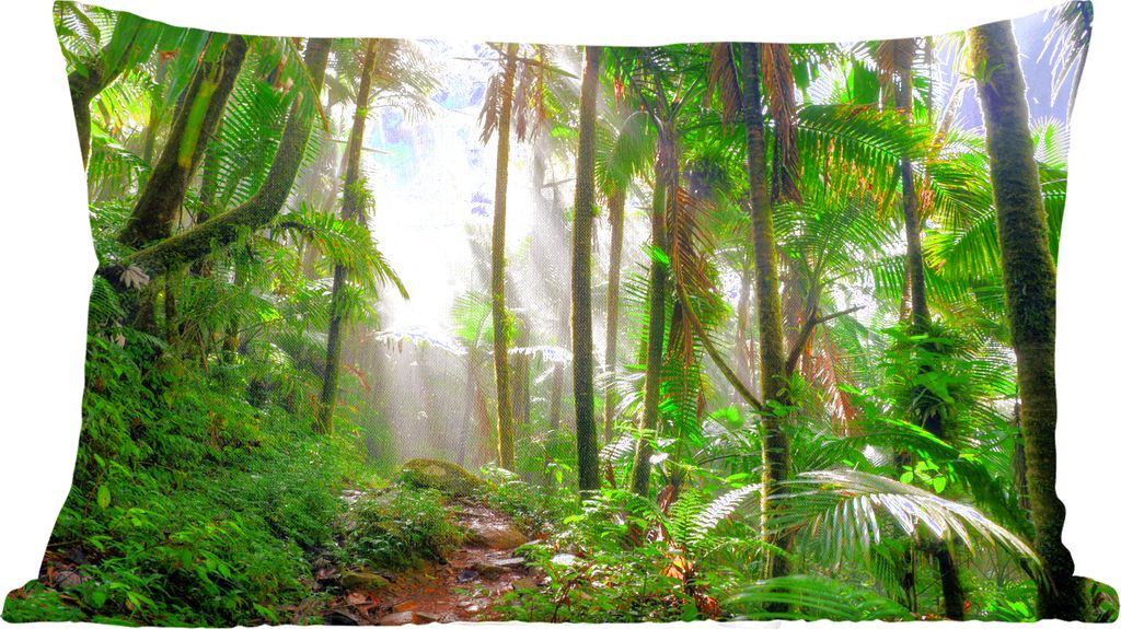 MuchoWow Zierkissen Sofakissen Wohnzimmer Dekokissen 50x30 cm Dschungel - Palme - Kröte - Jungen - Mädchen - Kinder - Wohnzimmerdekoration - Po...