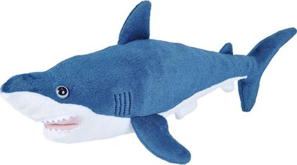 A plush toy shark against a white background.