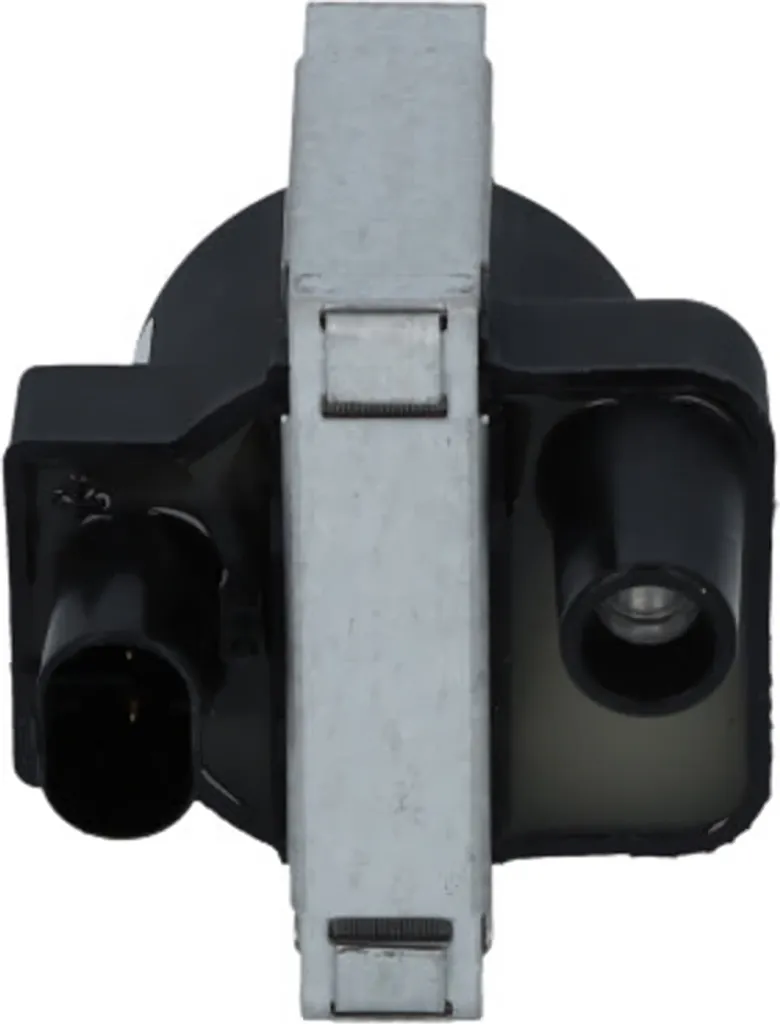 Bobine d'allumage 12V Sgr 2 pôles pour stopper les problèmes de démarrage moteur