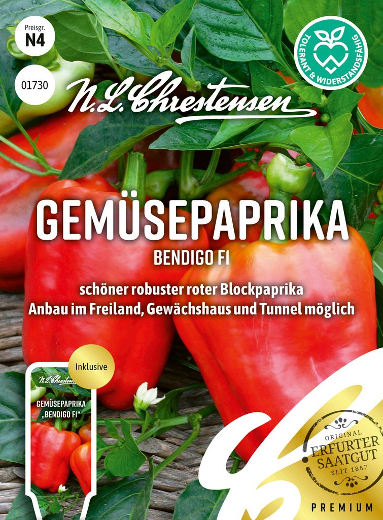 Gemüsepaprika Bendigo F1 | Paprikasamen von N. L. Chrestensen