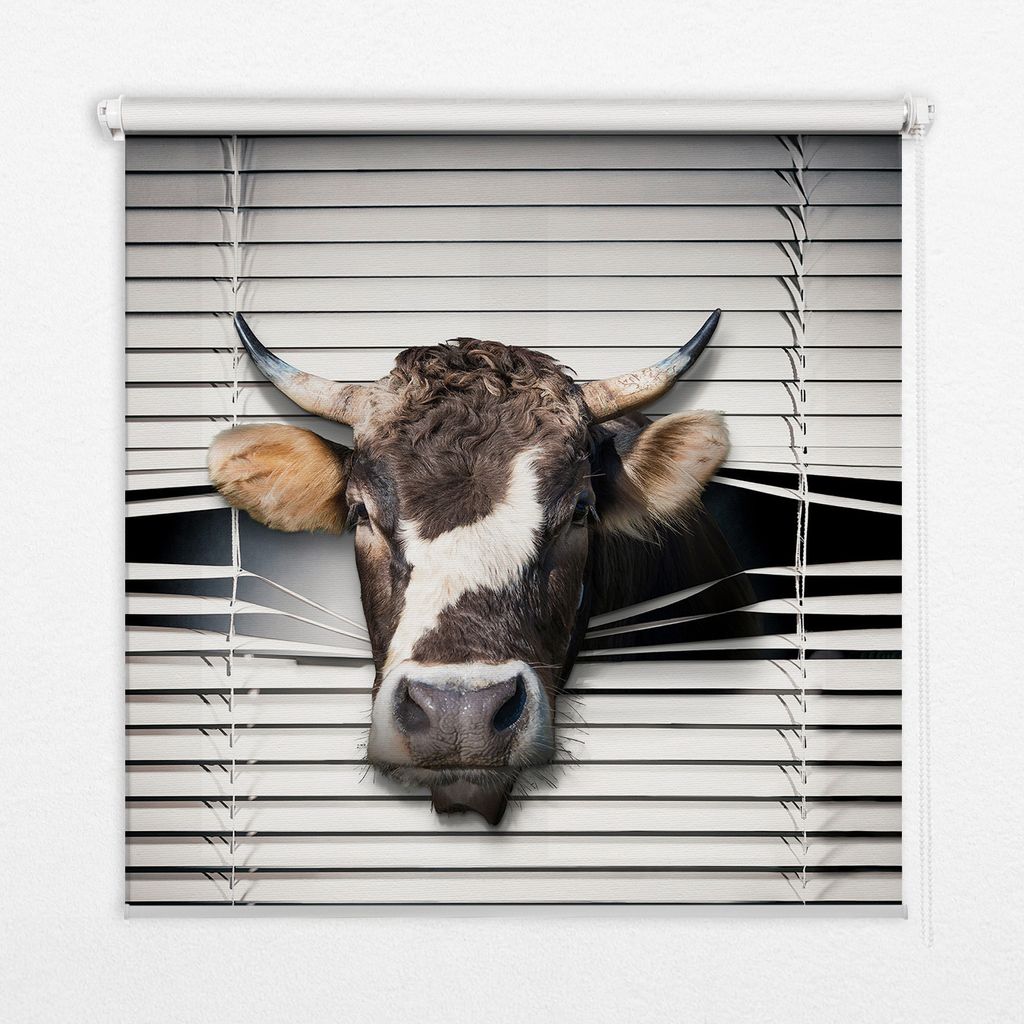 Seitenzug-Rollo Fensterrollo Jalousie - Thermo-Rollo Verdunkelungsrollo - 120x240 cm - Kuh