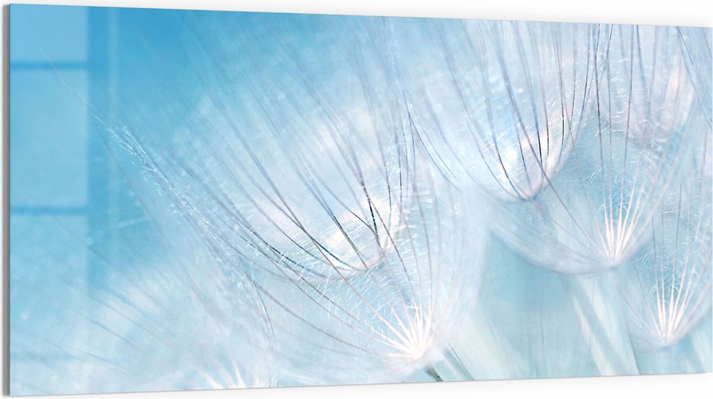 DEQORI Magnettafel Glas 100x50 cm 'Blühender Löwenzahn' beschreibbar Whiteboard