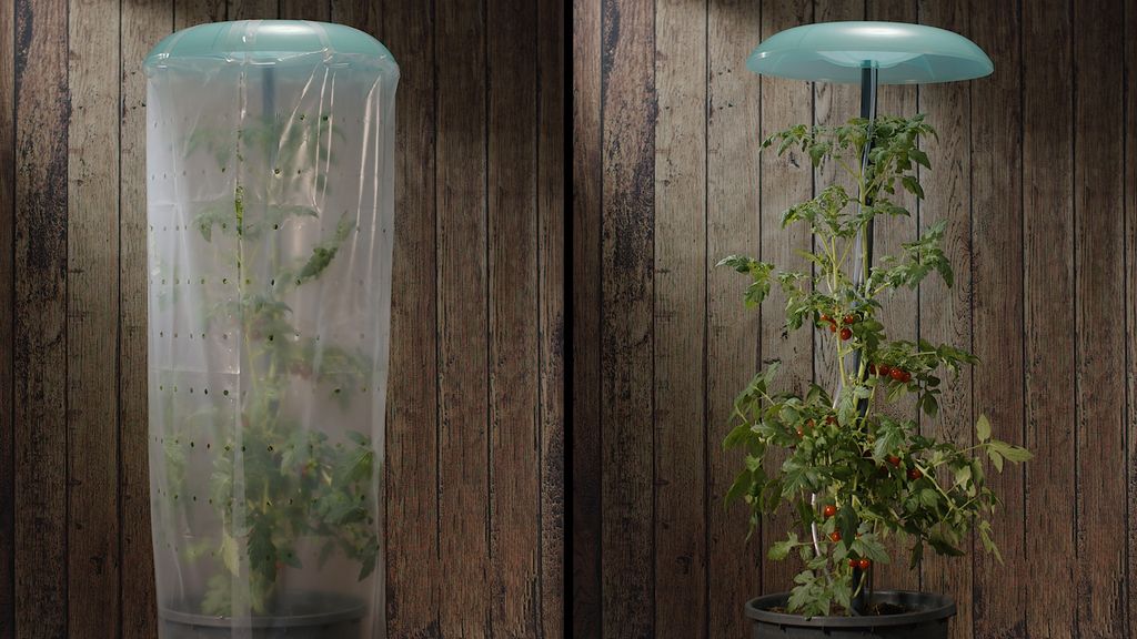 Tomatenhut-Set mit Pflanztopf, Stab und