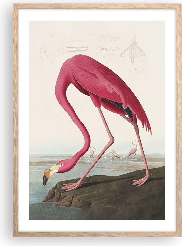 Gerahmtes Poster - Rahmen in heller Eiche - Flamingo Vogel Exotik - 50x70 cm - Wand Bild - Wanddeko - Wandbilder - Kunstposter - Wandposter - Bilde...