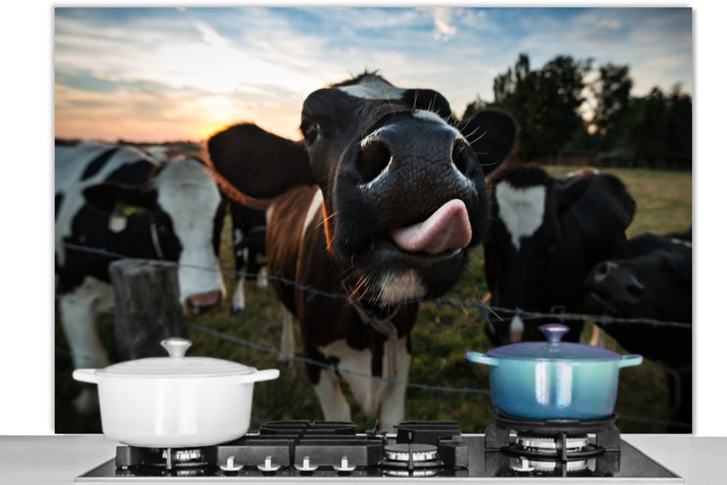 KitchenYeah Spritzschutz Küche - Küchenrückwand - Wandschutz für Herd und Spüle - Kuh - Tier - Nahaufnahme 120x80 - Alu-Dibond (Alternative...
