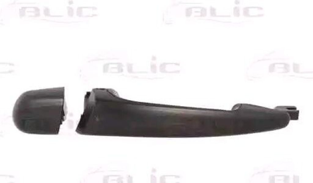 BLIC 6010-05-013403P Türgriff Hinten Links