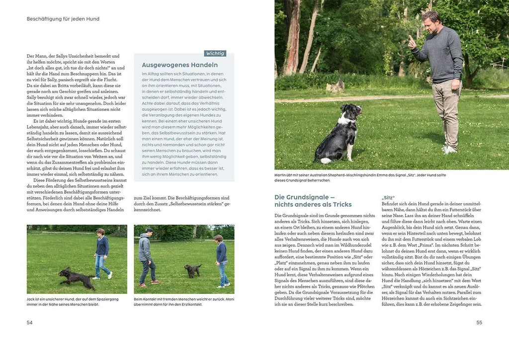Méthode Martin Rütter : Jeux d'occupation pour chiens et conseils experts