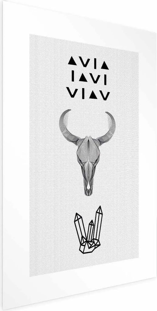 Posterpapier Poster - Animal Skull 21x30 cm Text n-C-0201-ao-a