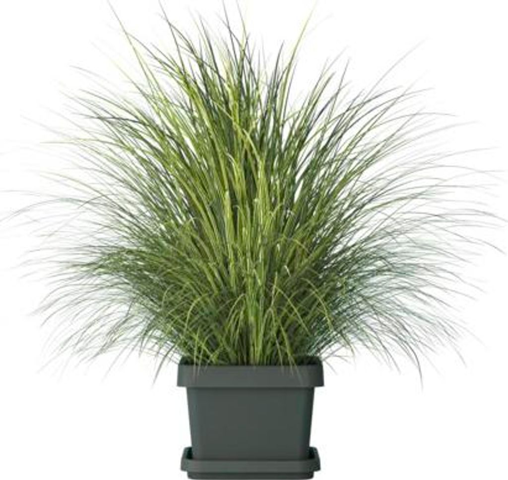gartenmöbel mit sitzbank Stern Gartenmöbel-Set 3x Stuhl Evoee, Dining Bank New Holly und Kufentisch Aluminium schwarz matt/HPL gartenmöbel set mit bank