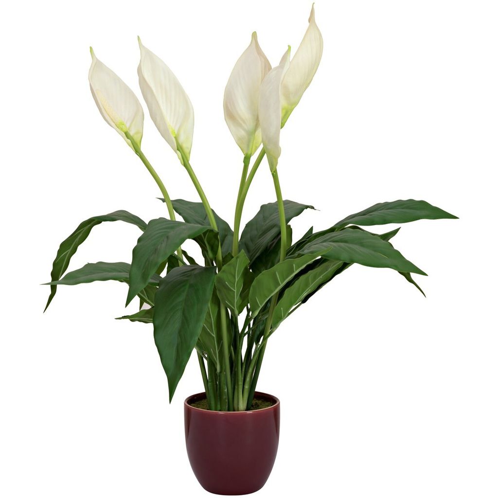 EUROPALMS Einblatt, Kunstpflanze, 60cm (82505660)