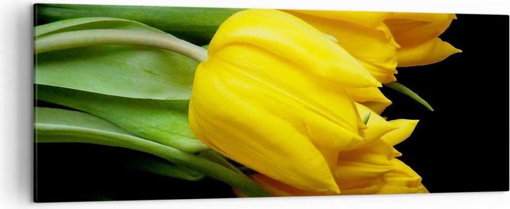 Bild auf Leinwand - Leinwandbild - Tulpen Strauß Spiegelreflexion grün - 140x50cm - Wand Bild - Wanddeko - Leinwanddruck - Bilder - Kunstdruck - ...
