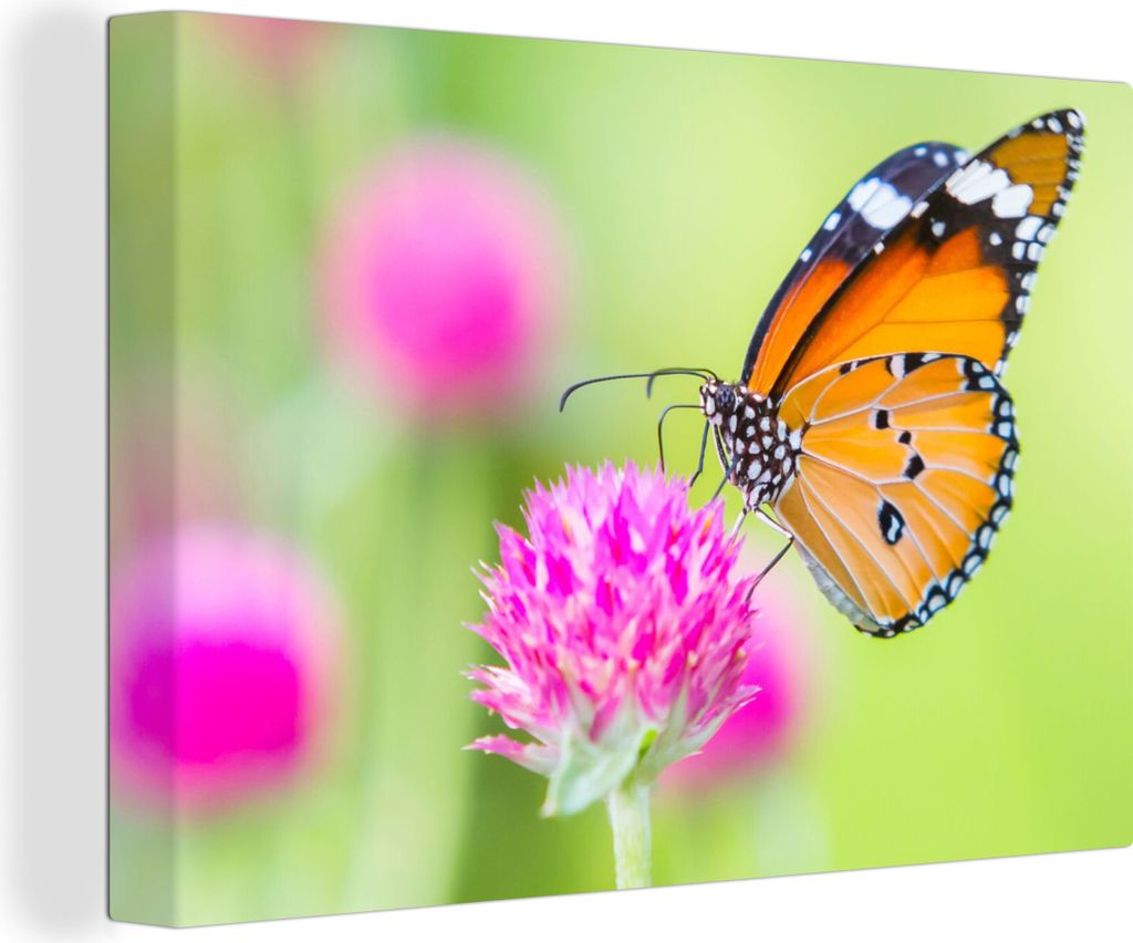 OneMillionCanvasses - Leinwandbilder - 150x100 cm, Insekten - Schmetterlinge - Blumen, Wandbilder Kunstdruck Wanddekoration - Foto auf Leinwand -...