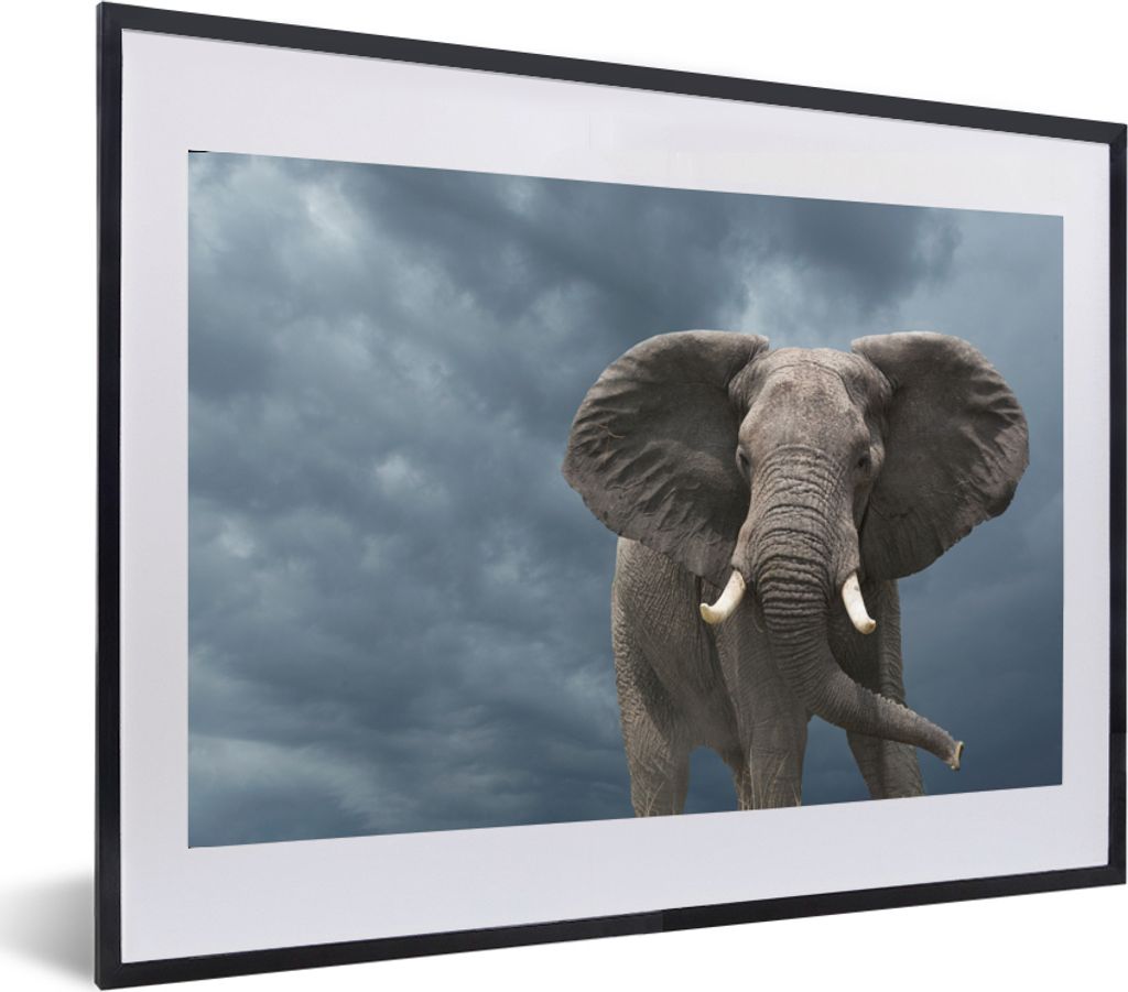 MuchoWow MuchoWow Gerahmtes Poster Elefant - Wolken - Tiere - Natur 60x40 cm - Poster mit zchwarzem Bilderrahmen - Schlafzimmer - Plakat in Rah...