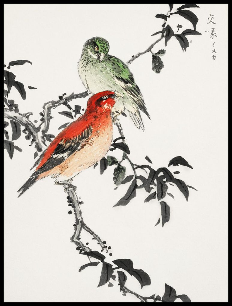 Plakat 60x80cm Kreuzschnabel, Japanische Kashu Vintage für das Wohnzimmer