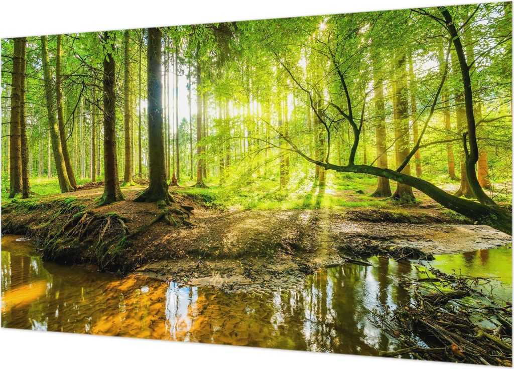 Wandtapete - Dekorative Tapete für Wohnzimmer - Tapetenfolie für Wanddekoration - 416x254 - Grüne Landschaft