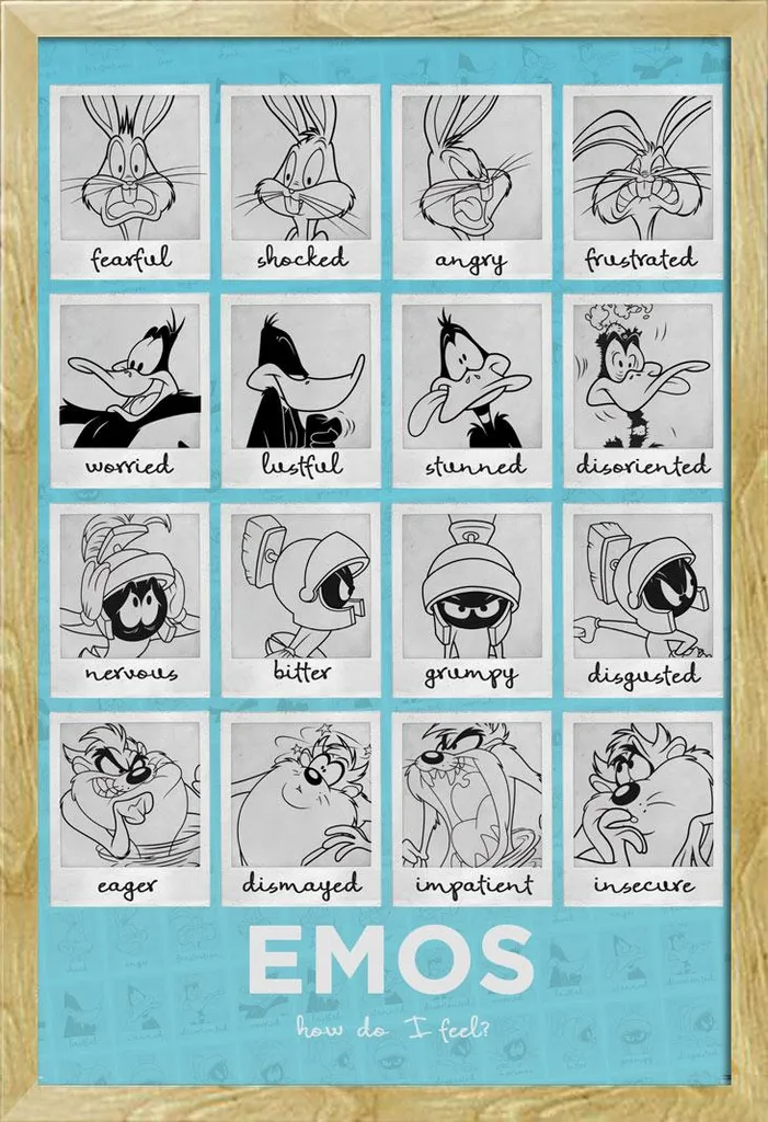 Tableau Looney Tunes Moods Prêt à Poser : Cadre Shinsuke Hêtre et Vitre