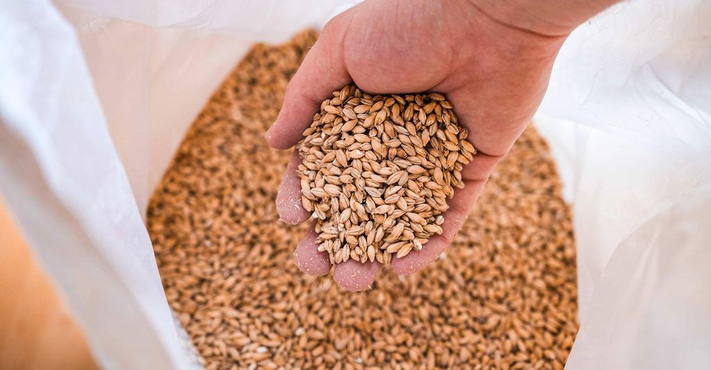 mydays Bierbraukurs Schongau; Erlebnis verschenken oder selbst erleben; Gutschein für 1 Person(en)