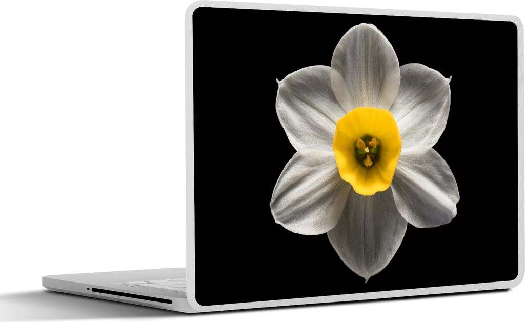 MuchoWow Laptop Aufkleber Sticker Cover Eine weiße Narzissenblüte auf schwarzem Hintergrund 40x30 cm - Laptop Dekoration - Selbstklebend
